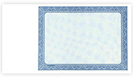 Goes 3520 border only blank stock certificate