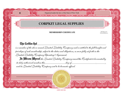 IBCF (596) Electronic Digital Limited Liability Corporate Kit with Seal