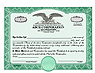 Custom Stock Certificates Eagle C Single Class Corporation