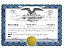 Corporate single class digital kit with eagle certificate