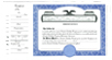 CorpKit Custom Side Stub SS2 LLC Certificates
