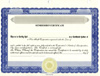 Personalize Non Profit/Not for Profit Stock Certificate