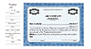 CorpKit Custom Standard Side Stub SS4 Single Class Stock Certificates
