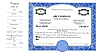 2 Class Side Stub Multi-Class Certificates