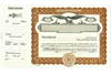 Goes 508 Side Stub Stock Certificates