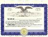  Custom Limited Liability Certificates (Interest)