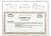  Custom Top Stub Limited Liability Certificates