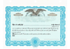 Atlas Eagle CorpKit Standard Wording Certificates (Interest)