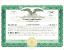 Custom stock certificate for Limited Liability Company interest certificate