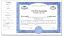 Side Stub 5 stock certificate for nonprofit company
