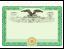 Eagle certificate front
