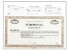  Custom Top Stub Limited Liability Certificates (Units)