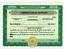 Custom Stock Certificates 3 Class Multi-Class Standard Certificates