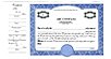 Standard Precise blue stock certificate